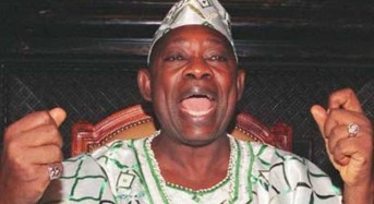 Afenifere Group Wants Results of June 12 Election Published