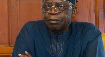 Tinubu: Fashola Will Deliver as Power, Works & Housing Minister