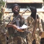 Scores Killed as Boko Haram Insurgents Attack 5 Villages in Adamawa