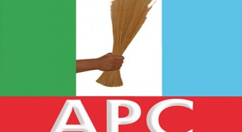 Buhari’s Return: You Can Now Commit Suicide – APC Tells Fayose