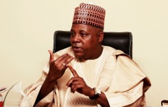 I Get the Job Done With Less Than 4 Hours Sleep Everyday, Says Borno Gov.