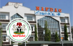 FG Appoints New Acting DG For NAFDAC